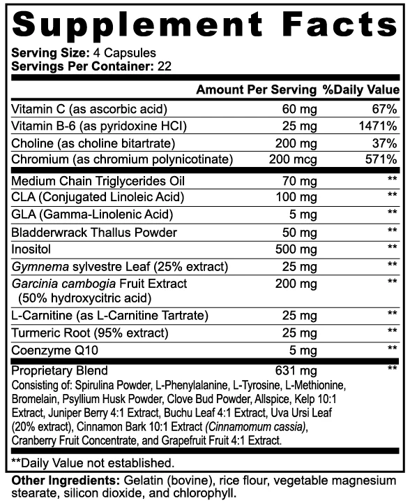 Naysa Nutra - Fat Burner