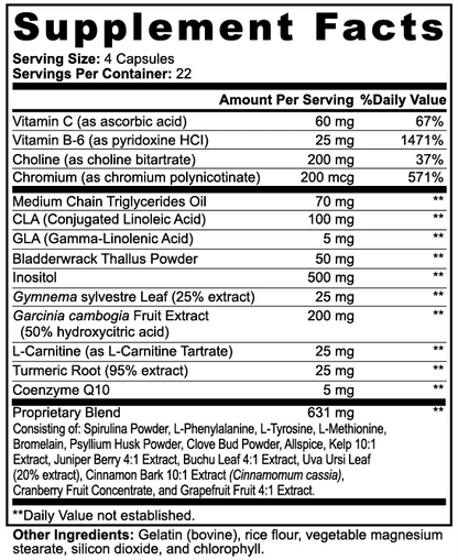 Naysa Nutra - Fat Burner