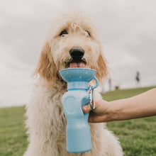 Load image into Gallery viewer, Pet Hydration Bottle 22oz