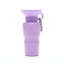 Load image into Gallery viewer, Pet Hydration Bottle 22oz